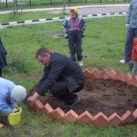 �� ������ �������� ���������� � ������� �������� 20 ��� ������