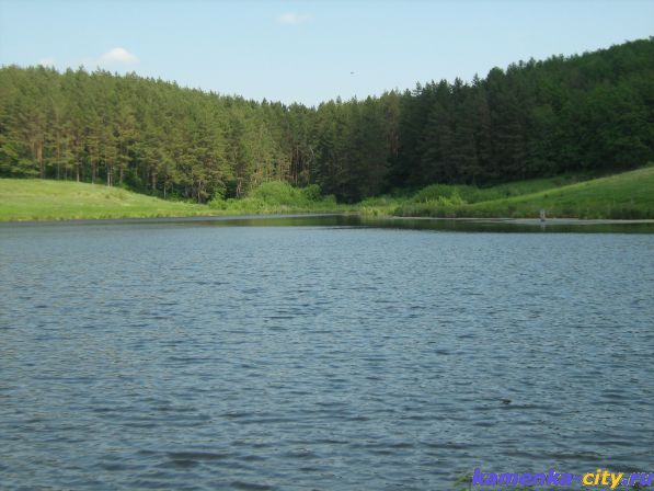 IMG_3456.jpg