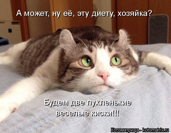 ���� ��� ��������