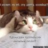 ���������� 28.01.2015